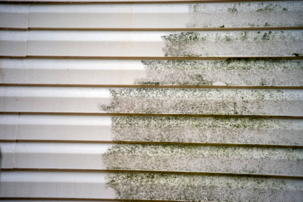Best Siding for New Construction  in Pine Hill, NJ
