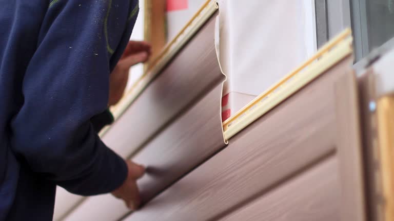 Best Historical Building Siding Restoration  in Pine Hill, NJ