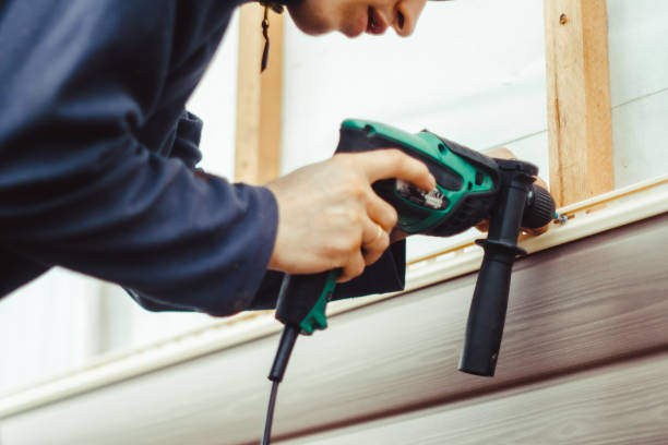 Best Residential Vinyl Siding Installation  in Pine Hill, NJ